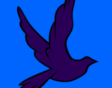 Disegno Colomba della pace in volo pitturato su marcos