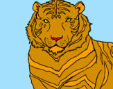 Disegno Tigre pitturato su arianna-28