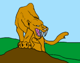 Disegno Tigre con affilati canini  pitturato su FABRIZIO