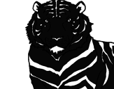 Disegno Tigre pitturato su juventus