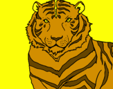 Disegno Tigre pitturato su NICOLAS