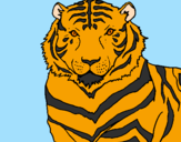 Disegno Tigre pitturato su rachele LEONI 2006