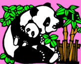 Disegno Mamma panda  pitturato su anna