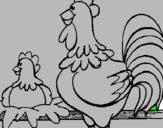 Disegno Gallo e gallina  pitturato su aletaur