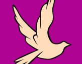 Disegno Colomba della pace in volo pitturato su angela