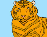 Disegno Tigre pitturato su ilenia
