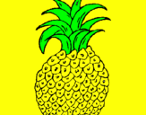 Disegno ananas  pitturato su silvio