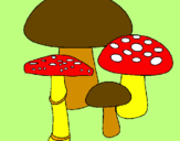 Disegno Funghi pitturato su gffgh