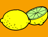 Disegno limone  pitturato su raf