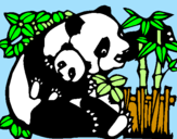 Disegno Mamma panda  pitturato su oggi sposi