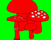 Disegno Funghi pitturato su paolo