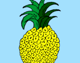 Disegno ananas  pitturato su federica