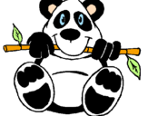 Disegno Orso panda  pitturato su Miriam