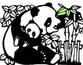 Disegno Mamma panda  pitturato su VERONICA
