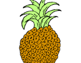 Disegno ananas  pitturato su ananas