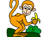 Disegno Scimmietta  pitturato su Miriam