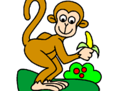Disegno Scimmietta  pitturato su Andrea