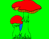 Disegno Funghi pitturato su LUIGI