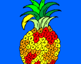 Disegno ananas  pitturato su ALESSIO