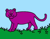 Disegno Panthera  pitturato su antonio