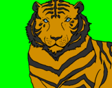 Disegno Tigre pitturato su flavio