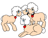Disegno Pecore pitturato su  aebnr