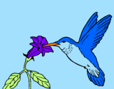 Disegno Colibrì con un fiore  pitturato su vincenzo pio 3anni