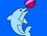 Disegno Delfino con una palla  pitturato su agnese tonaccio