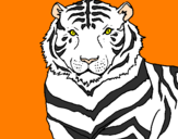 Disegno Tigre pitturato su Martina 