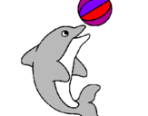 Disegno Delfino con una palla  pitturato su BENEDETTA