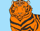 Disegno Tigre pitturato su samuele