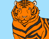 Disegno Tigre pitturato su paolo