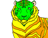 Disegno Tigre pitturato su scerekan