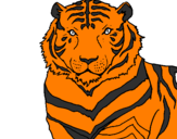 Disegno Tigre pitturato su antonio