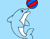 Disegno Delfino con una palla  pitturato su elena