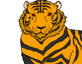 Disegno Tigre pitturato su alessandro