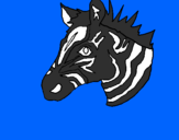 Disegno Zebra II pitturato su FRANCESCCO