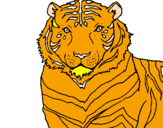 Disegno Tigre pitturato su donato