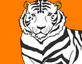 Disegno Tigre pitturato su dino 1
