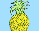 Disegno ananas  pitturato su carlottina