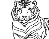 Disegno Tigre pitturato su fede