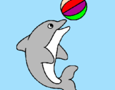 Disegno Delfino con una palla  pitturato su SIMONE