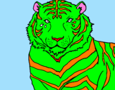 Disegno Tigre pitturato su trige