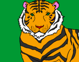 Disegno Tigre pitturato su vincenzo somma