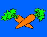 Disegno carote  pitturato su giacomo