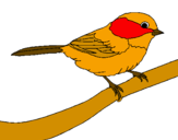 Disegno Uccellino  pitturato su cu