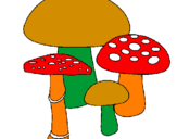 Disegno Funghi pitturato su KIKI