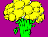 Disegno Broccoli  pitturato su giulia