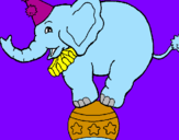 Disegno Elefante sulla palla  pitturato su gabriele06