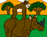 Disegno Rinoceronte e scimmietta  pitturato su flavio 4 anni